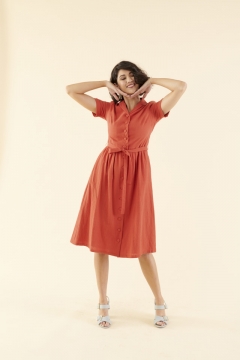 Button-Down Swing Dress